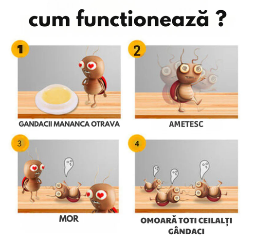 Rezultate garantate