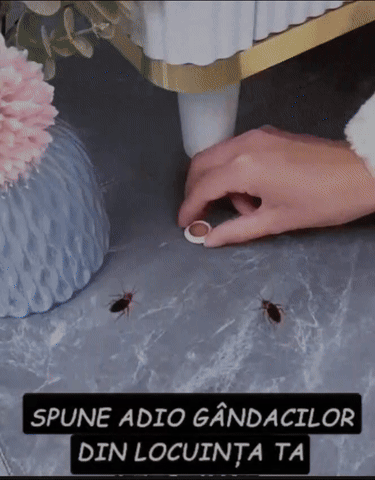 Otravă Gândaci